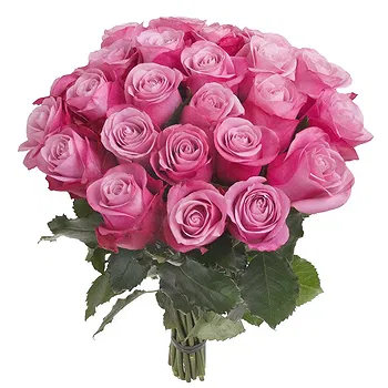 San Marino flowers  -  Composition of 24 Pink Roses with Greenery Flower Delivery