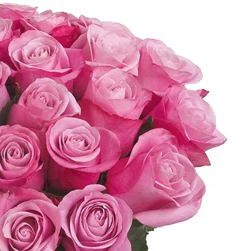 fiorista fiori di Firenze- Composizione di 24 rose rosa con verde Bouquet floreale