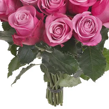 fiorista fiori di Firenze- Composizione di 24 rose rosa con verde Bouquet floreale
