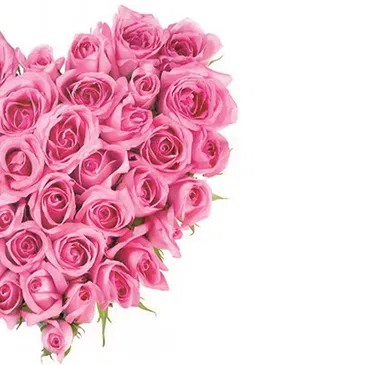 Italy flowers  -  Heart of Pink Roses Flower Bouquet/Arrangement