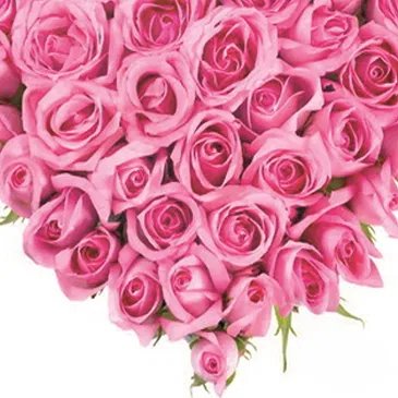 Italy flowers  -  Heart of Pink Roses Flower Bouquet/Arrangement