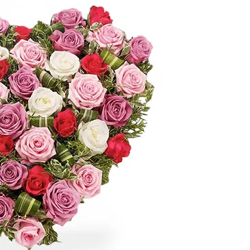Italy flowers  -  Heart of White and Colorful Pink Roses Flower Bouquet/Arrangement