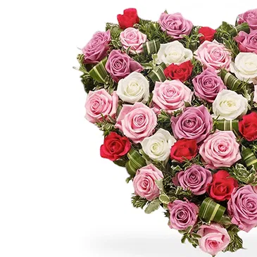Italy flowers  -  Heart of White and Colorful Pink Roses Flower Bouquet/Arrangement