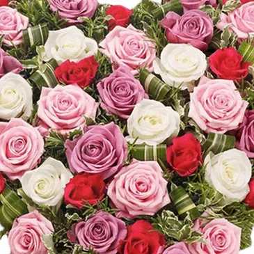 Italy flowers  -  Heart of White and Colorful Pink Roses Flower Bouquet/Arrangement