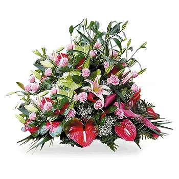 Mira flowers  -  Funeral Flower Pillow with Anthurium Delivery