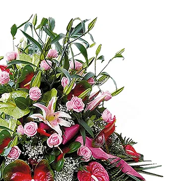 San Andros flowers  -  Almond Elegance and Apple AirPods Set Flower Bouquet/Arrangement