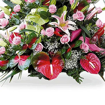 San Andros flowers  -  Almond Elegance and Apple AirPods Set Flower Bouquet/Arrangement