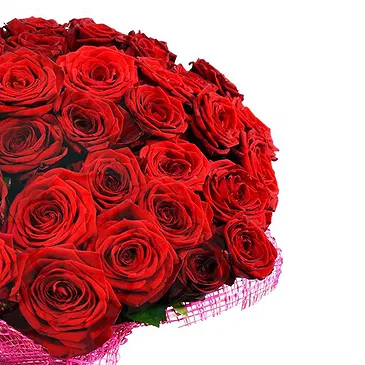 Italy flowers  -  50 Red Roses Flower Bouquet/Arrangement
