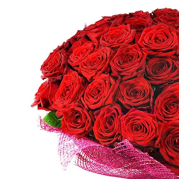 Italy flowers  -  50 Red Roses Flower Bouquet/Arrangement