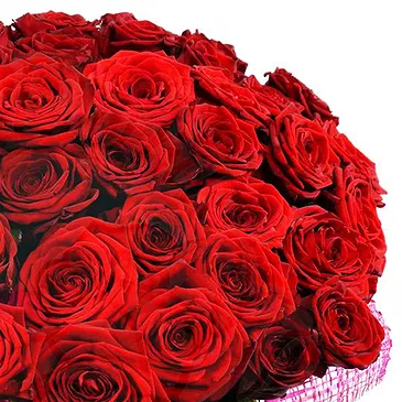 Italy flowers  -  100 Red Roses Big Bunch Flower Bouquet/Arrangement