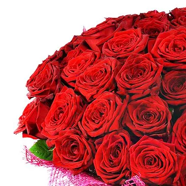 Italy flowers  -  100 Red Roses Big Bunch Flower Bouquet/Arrangement