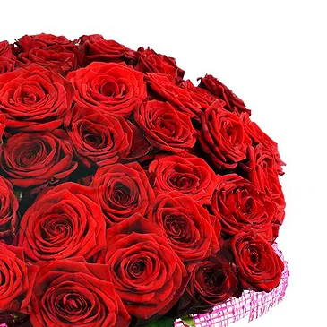 Florence flowers  -  Composition of 500 Red Roses Flower Bouquet/Arrangement