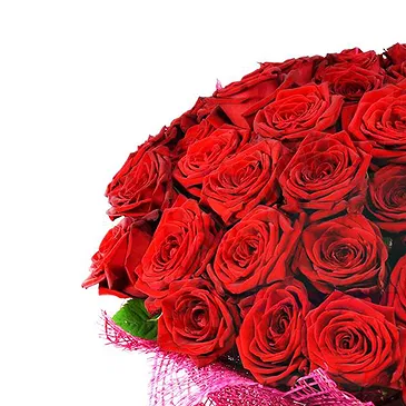 Florence flowers  -  Composition of 500 Red Roses Flower Bouquet/Arrangement