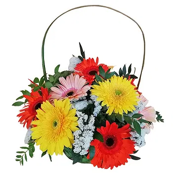 Lisbon flowers  -  Spring Basket Flower Delivery