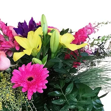 Portugal Blumen Florist- Nordlichter Bouquet/Blumenschmuck