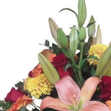 Portugal flowers  -  Vibrant Blossom Flower Bouquet/Arrangement