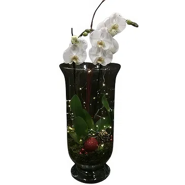 Isfara flowers  -  VIP Care Package Flower Bouquet/Arrangement
