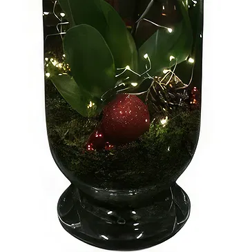 Isfara flowers  -  VIP Care Package Flower Bouquet/Arrangement