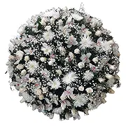 Portugal online Florist - Serene Beauty  Bouquet