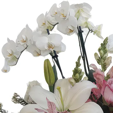 Portugal flowers  -  Affordable Choice Flower Bouquet/Arrangement