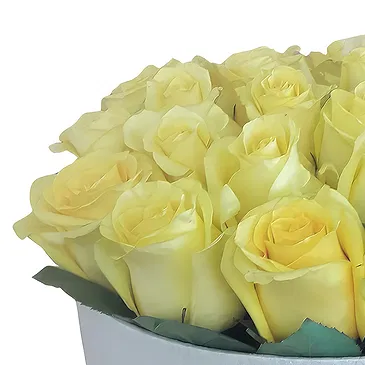 Portugal flowers  -  Charming Gift Flower Bouquet/Arrangement