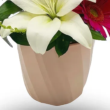 Hatem flowers  -  Soft Combo Flower Bouquet/Arrangement