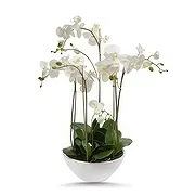 アンマン オンライン花屋 - ソフトコレクション 花束