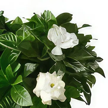 Hatem flowers  -  Fragrant Addition Flower Bouquet/Arrangement