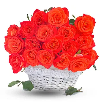 United Kingdom flowers  -  Basket of orange roses Flower Delivery