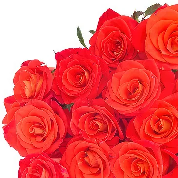 fiorista fiori di Kerema- Cesto di rose arancioni Bouquet floreale