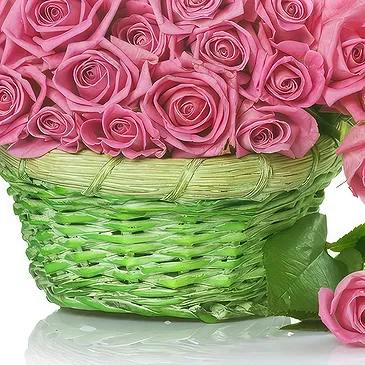 Oman flowers  -  Basket of pink roses Flower Bouquet/Arrangement