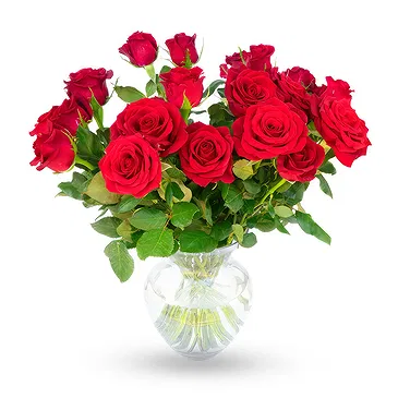 Oman flowers  -  Bunch of 18 Red Roses Flower Bouquet/Arrangement