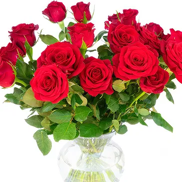 Oman flowers  -  Bunch of 18 Red Roses Flower Bouquet/Arrangement