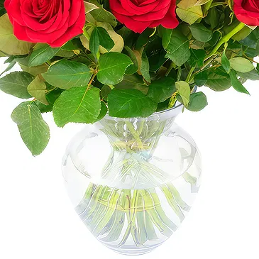 Oman flowers  -  Bunch of 18 Red Roses Flower Bouquet/Arrangement