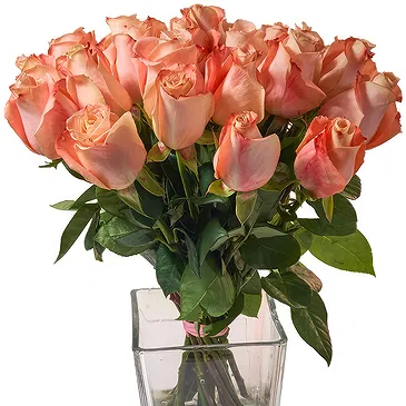 Oman flowers  -  Bunch of 18 Salmon Roses Flower Bouquet/Arrangement