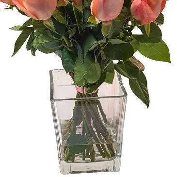 Oman flowers  -  Bunch of 18 Salmon Roses Flower Bouquet/Arrangement