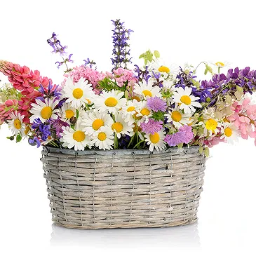 Forst am Berg Blumen Florist- Korb mit Frühlingsblumen Bouquet/Blumenschmuck