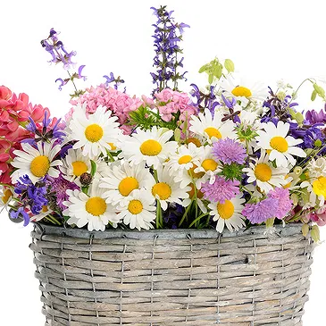 Forst am Berg Blumen Florist- Korb mit Frühlingsblumen Bouquet/Blumenschmuck