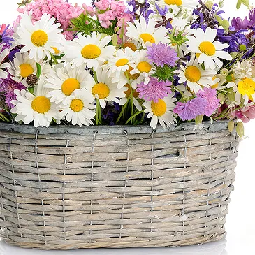 Forst am Berg Blumen Florist- Korb mit Frühlingsblumen Bouquet/Blumenschmuck