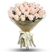 Araya online Florist - Bouquet of 24 light pink roses Bouquet