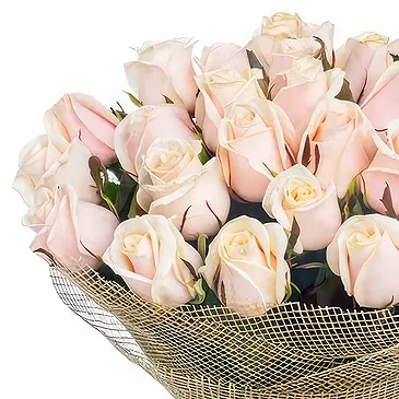 Oman flowers  -  Bouquet of 24 light pink roses Flower Bouquet/Arrangement