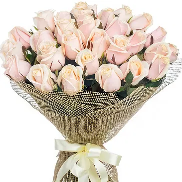 Oman flowers  -  Bouquet of 24 light pink roses Flower Bouquet/Arrangement