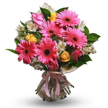 United Kingdom flowers  -  Bouquet of pink gerberas and white alstromeri Flower Delivery