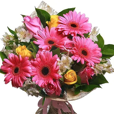 Oman flowers  -  Bouquet of pink gerberas and white alstromeri Flower Bouquet/Arrangement