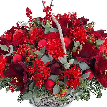 Oman flowers  -  Christmas arrangement of red flowers Flower Bouquet/Arrangement