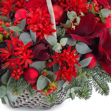 Oman flowers  -  Christmas arrangement of red flowers Flower Bouquet/Arrangement