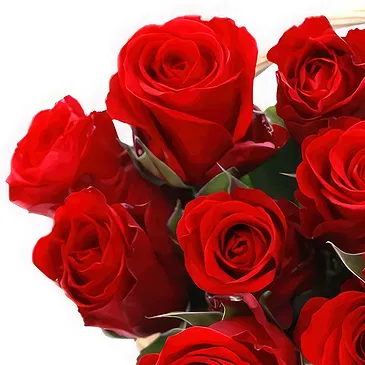 fiorista fiori di Plav- Cesto di rose rosse Bouquet floreale