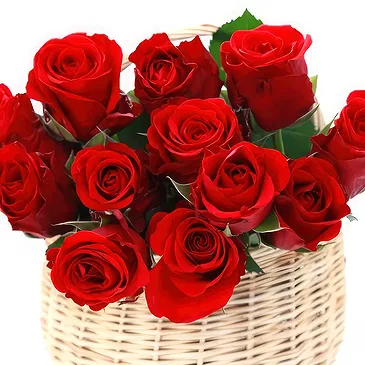 fiorista fiori di Plav- Cesto di rose rosse Bouquet floreale