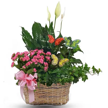 Guam blommor-  Bukett/blomsterarrangemang