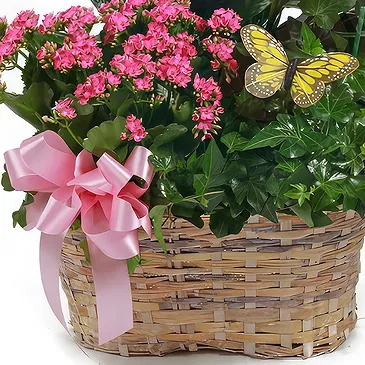 fiorista fiori di Tutte le altre città- Disposizione delle piante in fiore Bouquet floreale